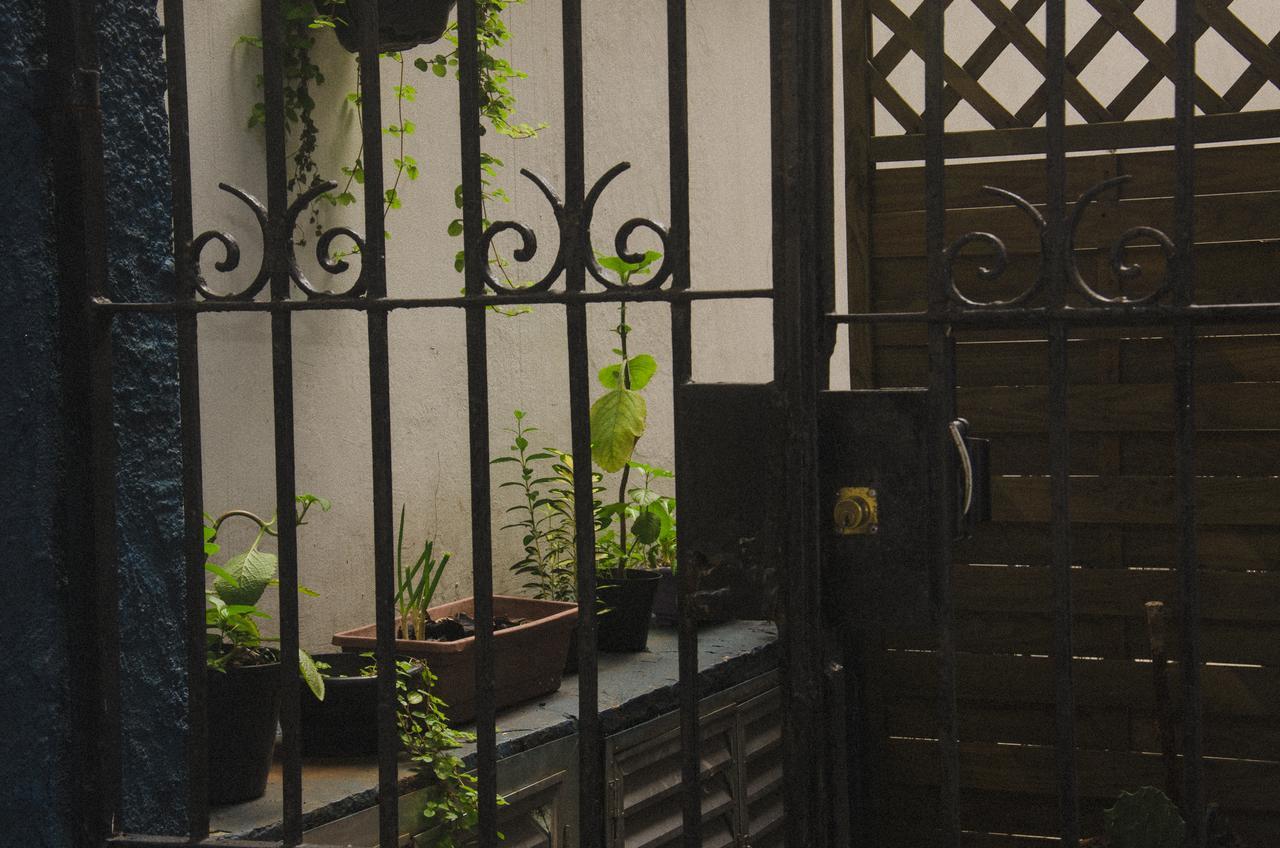 The Backpacker Cat Hostel ริโอเดจาเนโร ภายนอก รูปภาพ